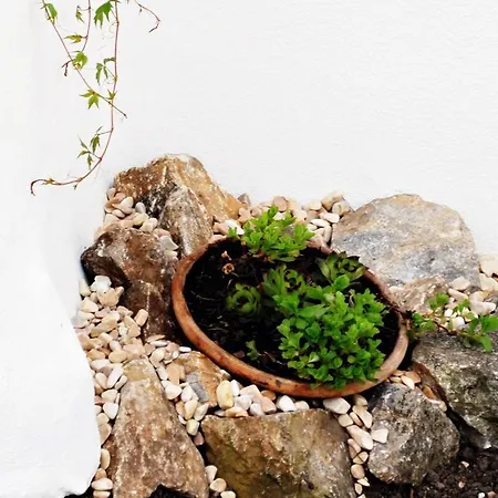 Hébergement de vacances Ferienhaus Sonnenhorst