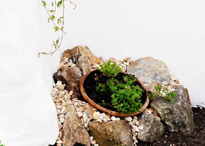 度假居 费瑞豪斯索嫰豪斯特度假屋